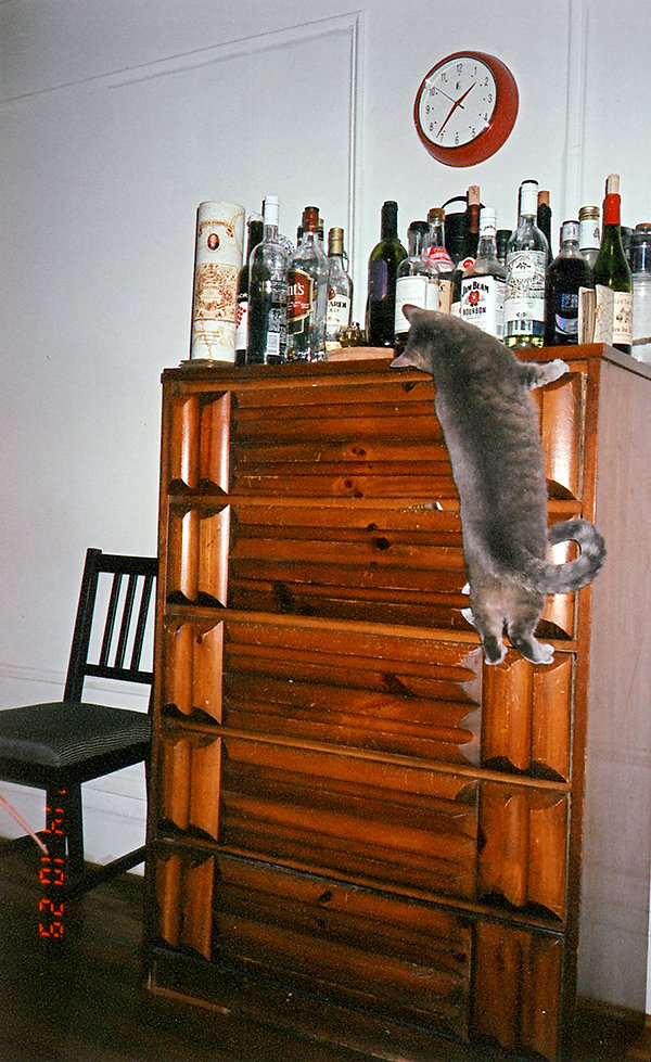 lulu-liquor-shelf4site.jpg
