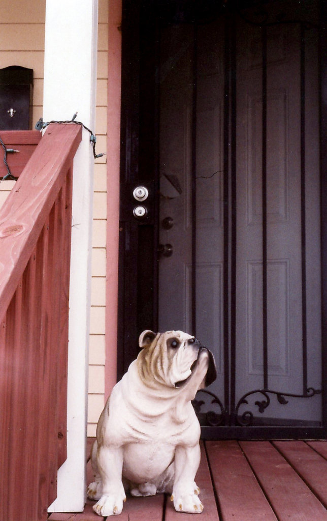 porch-dog.jpg