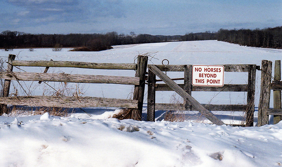 no-horses-beyond-this-point4site.jpg